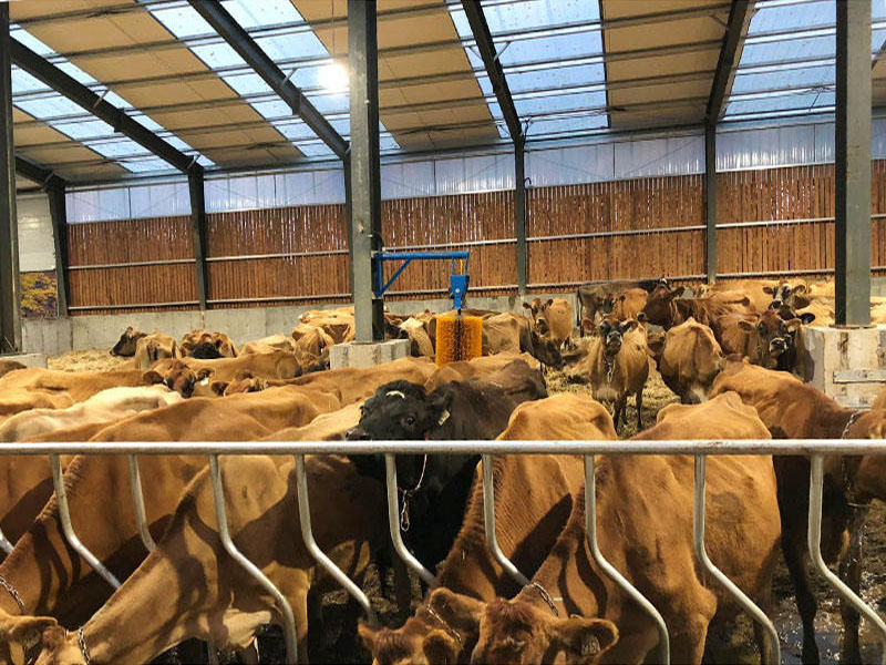 Shanxi Xincang Aquaculture Co., Ltd. Project Case3