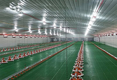 Cheap Steel Structure Farm Building