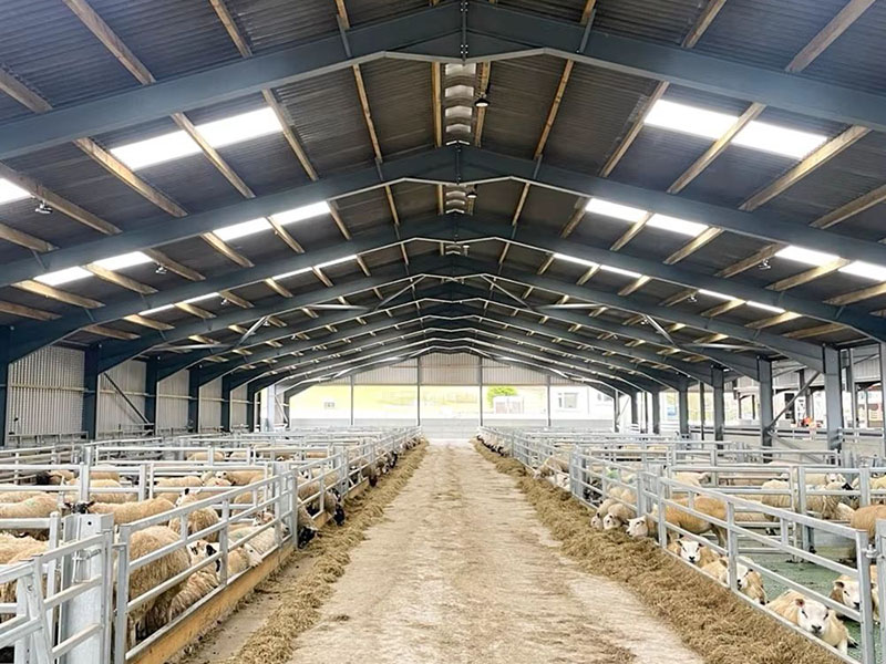 Steel Structure Farm Building